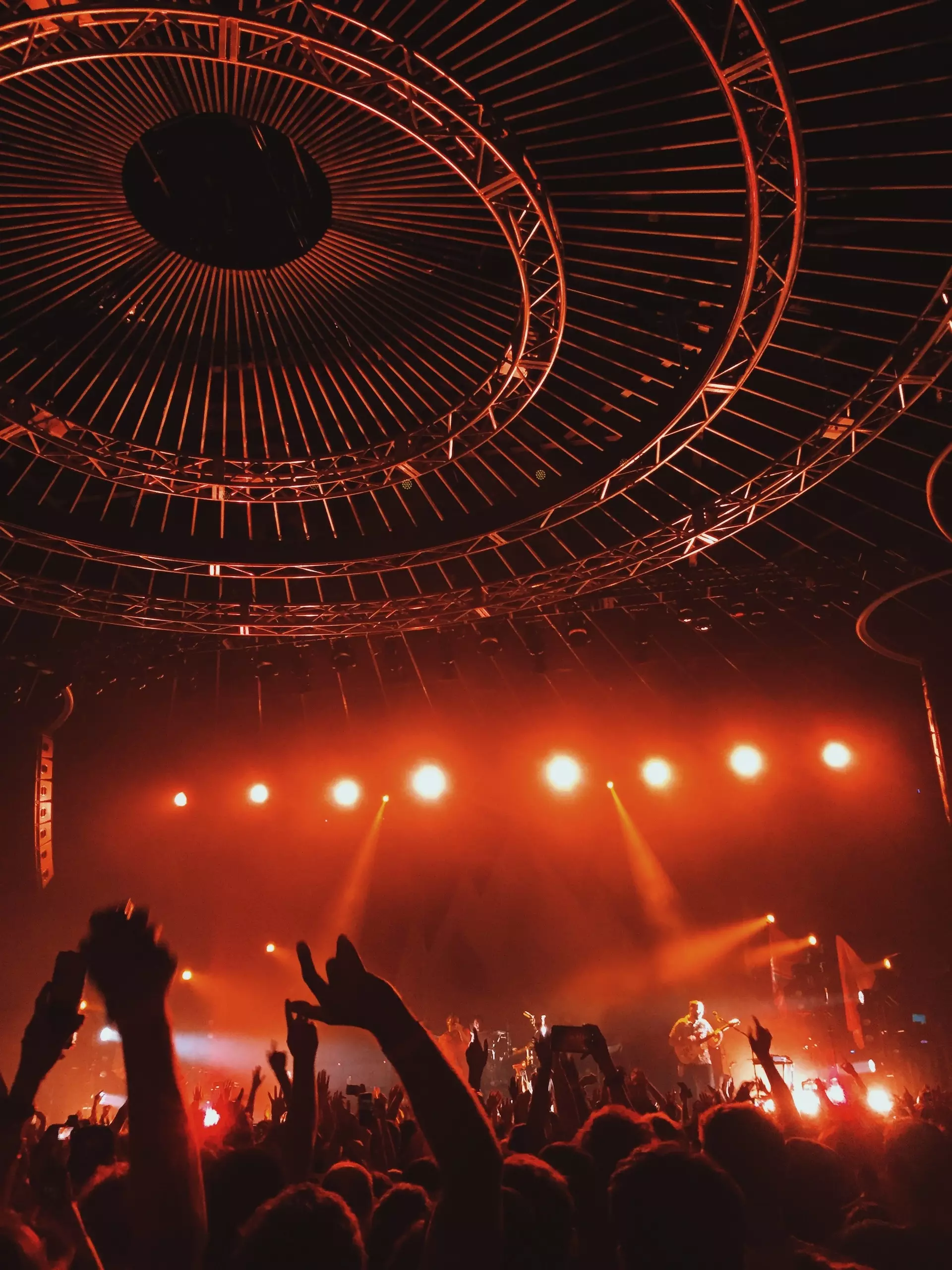 Photo d'un public enthousiaste à un concert